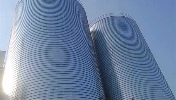 舞阳2座混凝土高架卷板仓